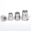 Stainless Steel 304 316 Thread Blind Rivet Nuts